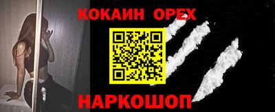 сатива Гай
