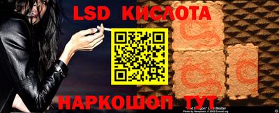 ECSTASY Гатчина
