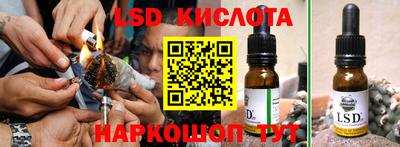 ECSTASY Гатчина