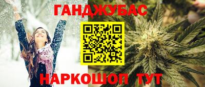 сатива Гай