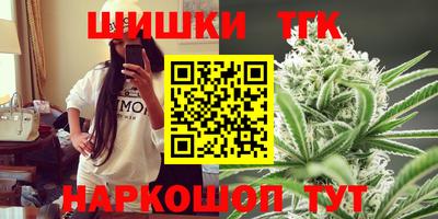 сатива Гай