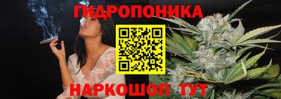 ECSTASY Гатчина