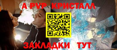 ECSTASY Гатчина