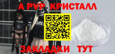ECSTASY Гатчина