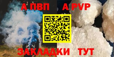 сатива Гай